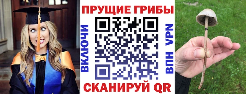 Псилоцибиновые грибы GOLDEN TEACHER Валдай